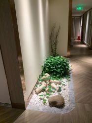 -艾维庭美学SPA
