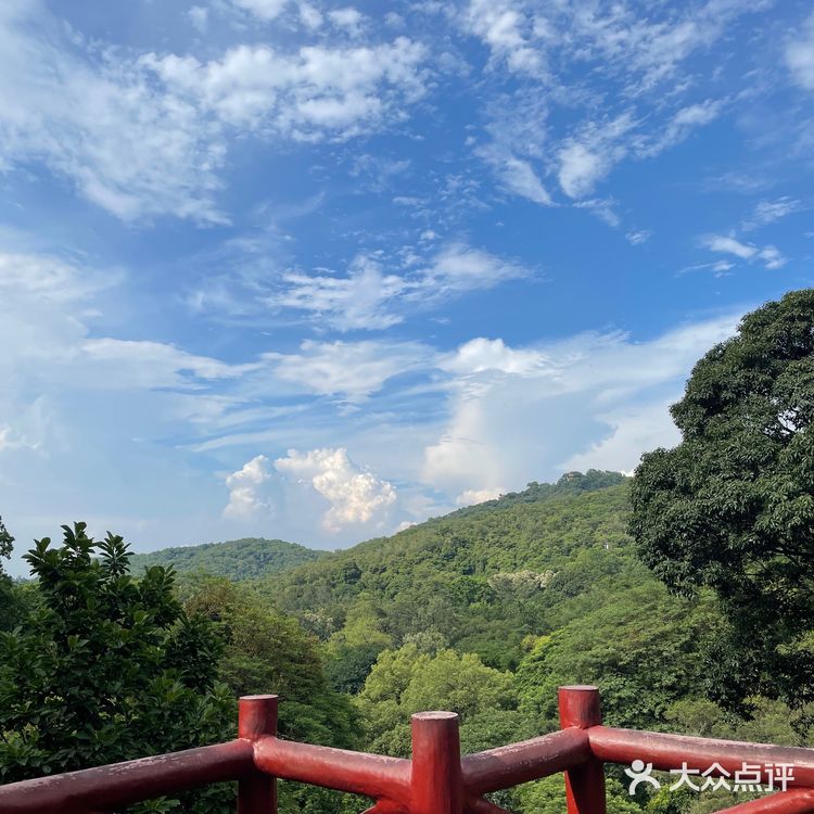 广州白云山桑拿之旅