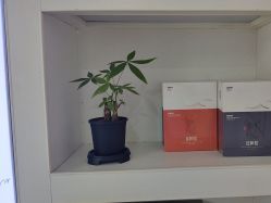 -蓝丝带产后恢复中心·催乳·通乳(九龙坡香榭里店)