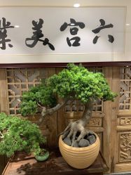 -六宫Spa女子养护中心