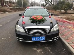 -蚂蚁婚车