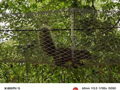 -泉州海丝野生动物世界