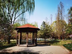 -元大都城垣遗址公园