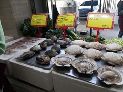 -蚝专家(北滘店)