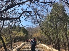 -阳台山自然风景区