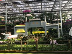 -兰陵国家农业公园