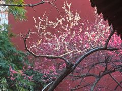 -钱王祠