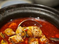 辣煮花螺-協成海鮮火鍋(老店)