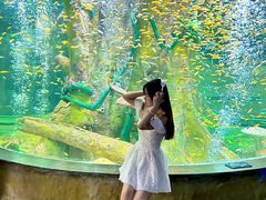 -合肥海洋世界