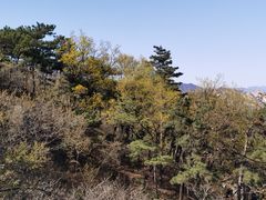 -阳台山自然风景区