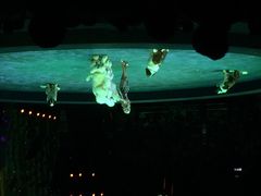 iphone_upload_pic-珠海横琴长隆《卡卡虎奇遇记》