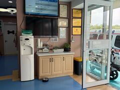 -天使宠物医院·犬猫分诊(彩虹店)