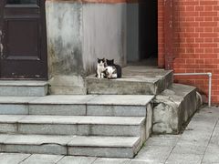 -辛亥革命博物院北区