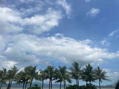 -深圳湾公园(南山区)