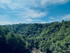 -广州白江湖森林公园