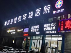 -瑞派雷欧宠物医院·24h夜诊·心脏骨科牙科·全科重症转诊中心(无影山店)