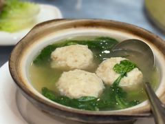 -丁老爷子苏香圆