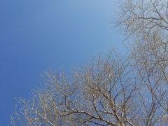 -天宝酒店(万达店)