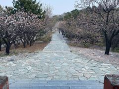 -香山公园-东宫门售票处