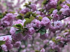 -苏州河梦清园环保主题公园