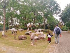 -上海海湾国家森林公园