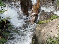 -大围山国家森林公园