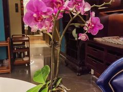 -Yan Ting 宴庭中餐厅(上海静安瑞吉酒店)