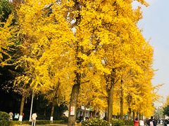-四川大学(望江校区)