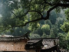-杨家堂村