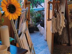 -知物癖(牛王庙店)