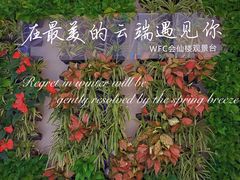 -WFC会仙楼观景台
