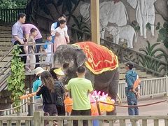 -贵州森林野生动物园