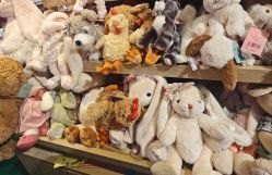 点击看大图 -Hamleys哈姆雷斯(东方福来德店)