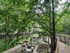 -白水寺森林公园