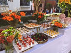 -新蝶变皮肤管理中心