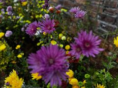 -泸沽湖国家级风景名胜区走婚桥