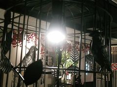 -吉旺港式餐厅(南方商城店)