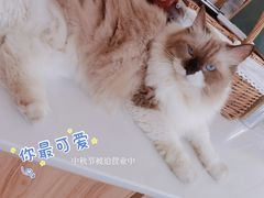 -灯塔咖啡馆BOOK·Coffee Shop