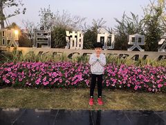-映月湖中央公园