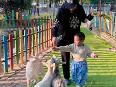 -广东花都香草世界旅游度假区