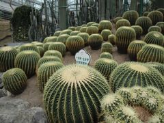 -南山植物园