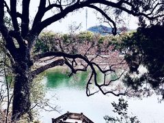 -溪口-滕头旅游景区