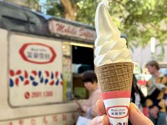 -富豪雪糕车流动点(尖沙咀)