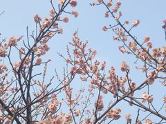 -白塘生态植物园