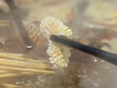 鲜鱿鱼-毛椒火辣重庆火锅串串香(城基路店)