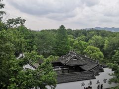 -西溪国家湿地公园