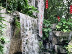 -广州市流溪河国家森林公园