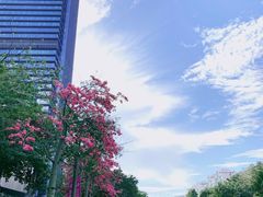 -深圳雅邦朗悦国际酒店