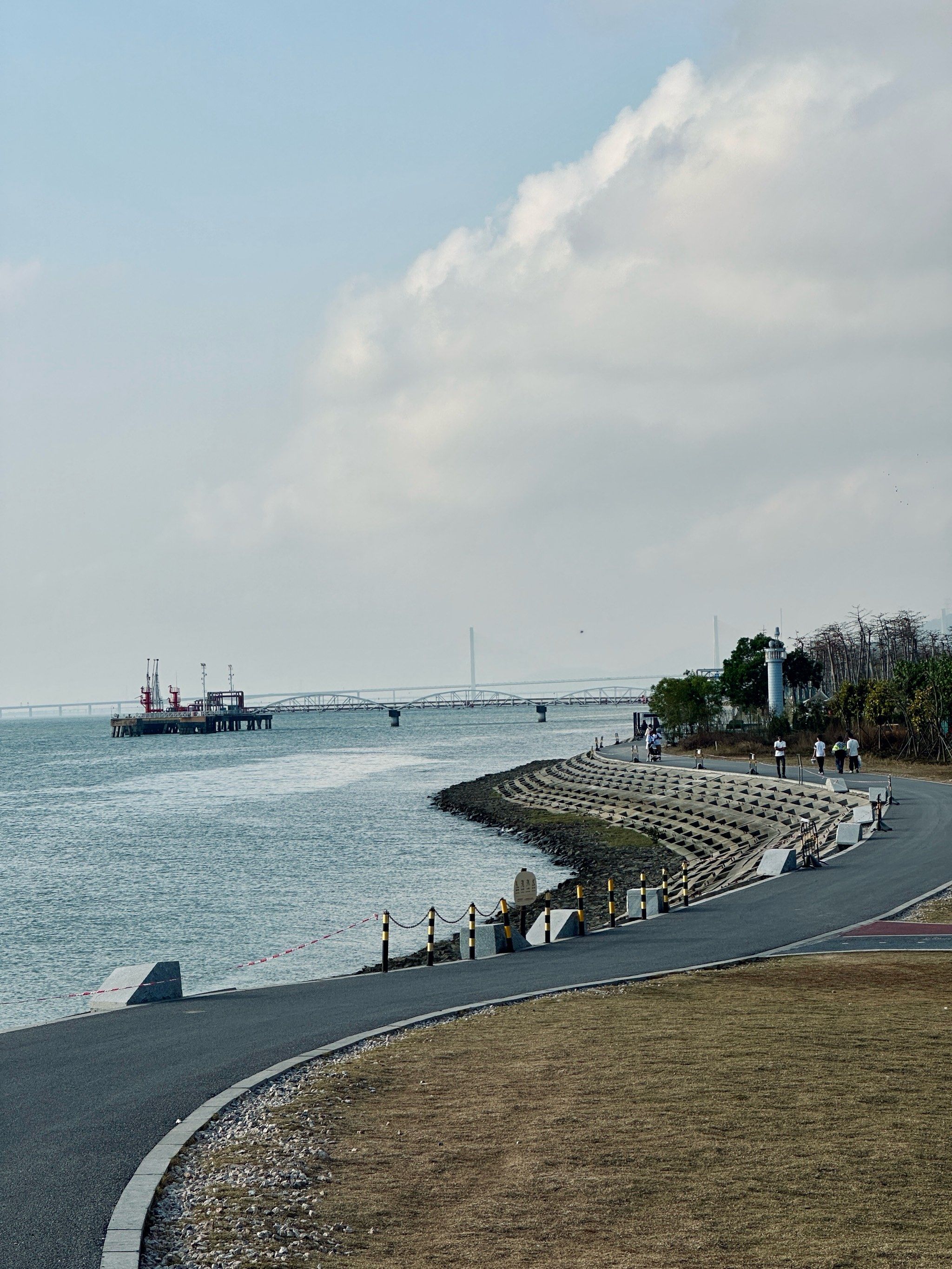 适合约会一下午的海滨湿地公园