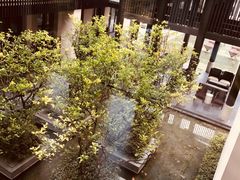 -上海崇明金茂凯悦酒店